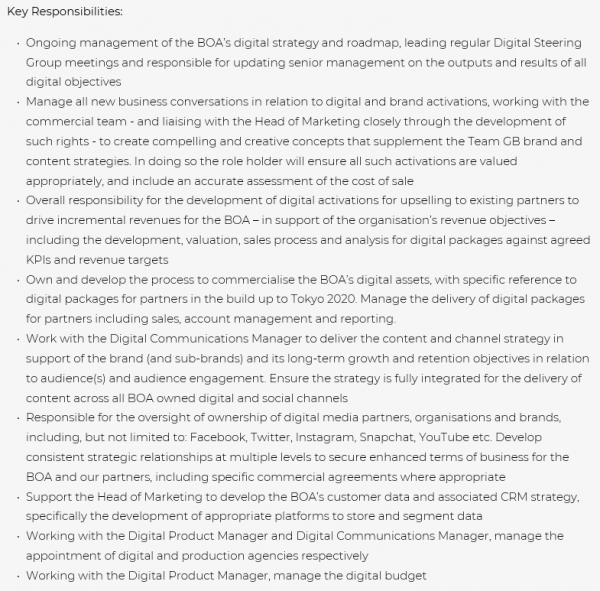 Interim Digital Strategy Manager